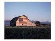 Barn-with-US-Flag-CO-Photographic-Print-C11905148
