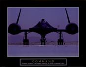 F102307~Command-Blackbird-Posters