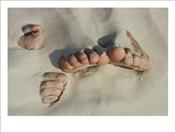 Two-Pairs-of-Feet-Push-up-Through-the-Sand-Photographic-Print-C10247644